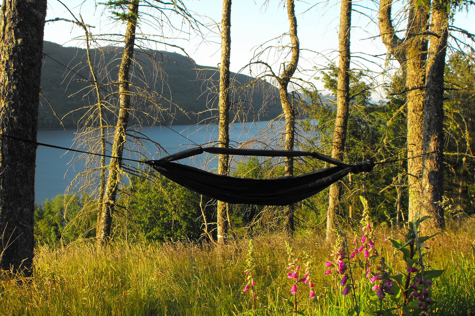 DD Frontline Hammock