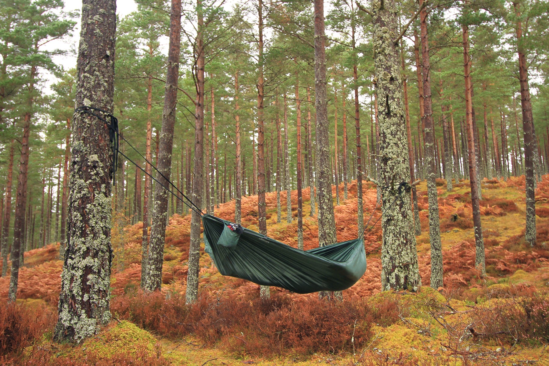 dd camping hängematte DD Camping Hammock