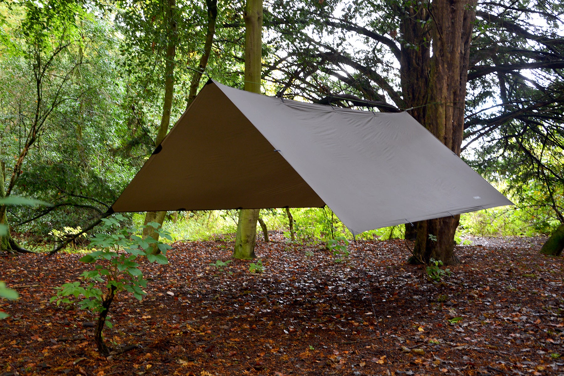 dd hammocks tarp review DD Hammocks SuperLight Tarp