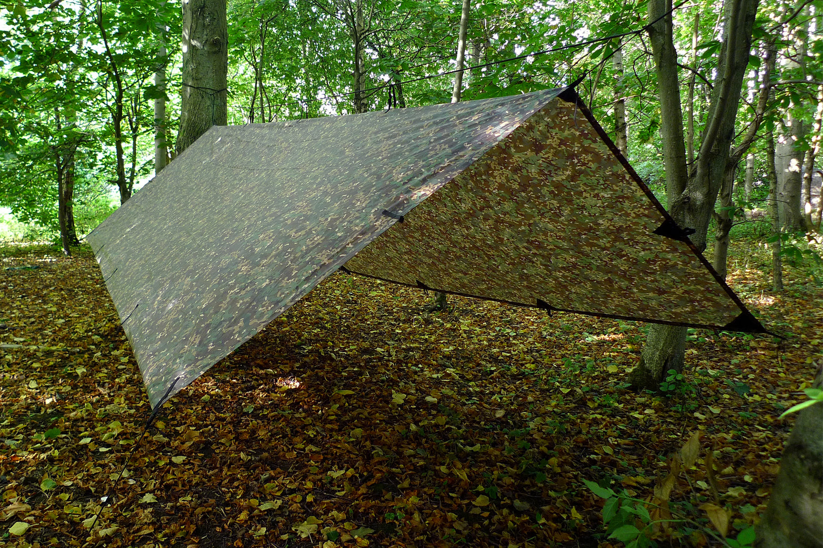DD Tarp XL - MC