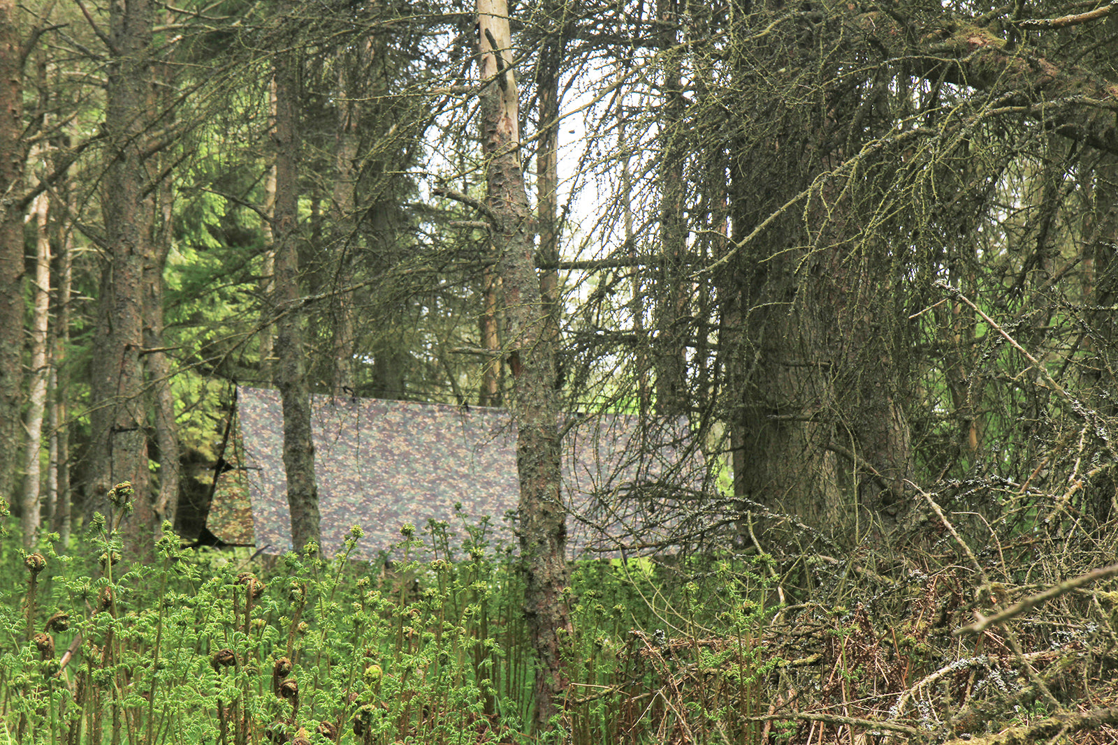 DD Tarp 3x3 - MC