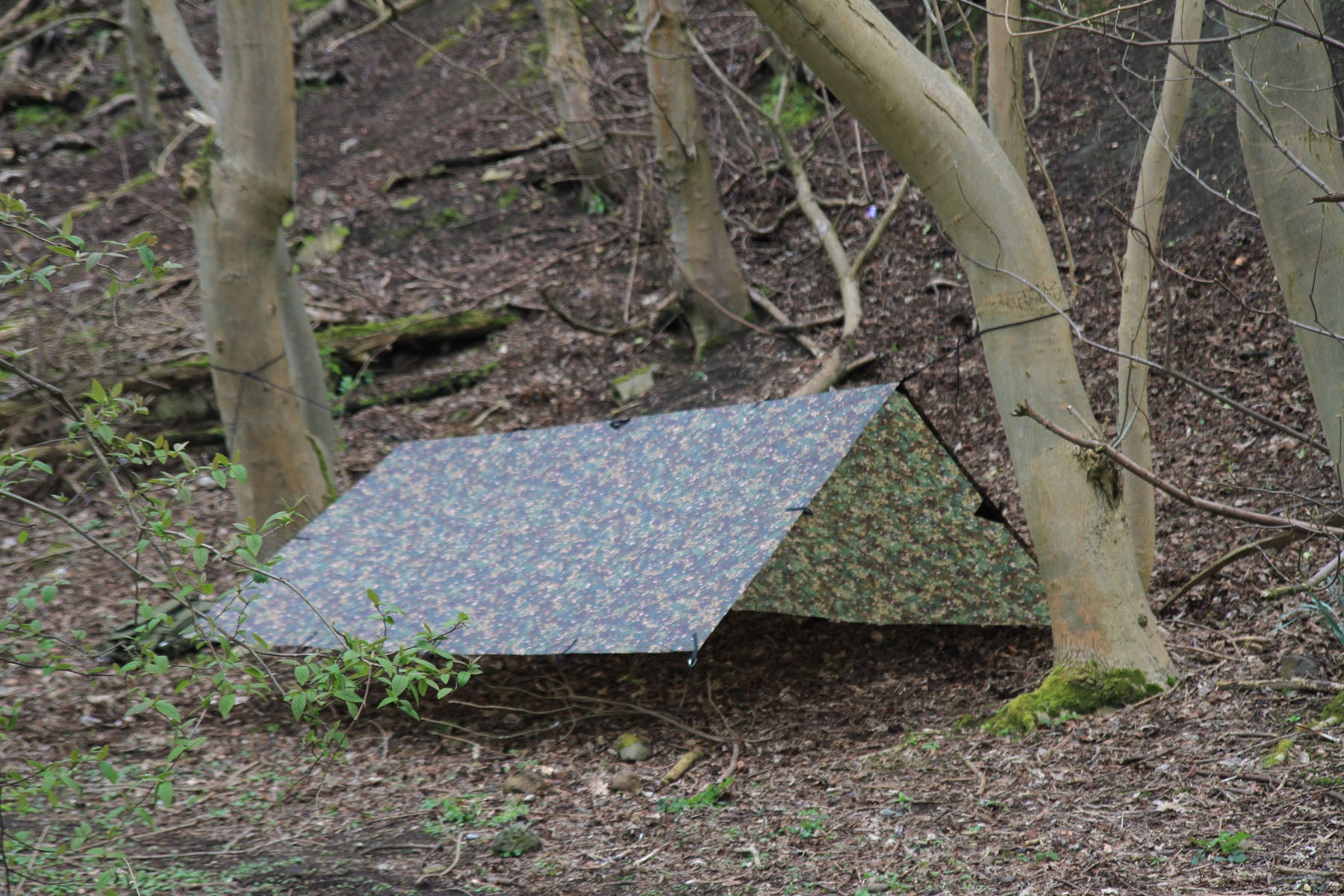 dd tarp mc camo DD Tarp 3x3