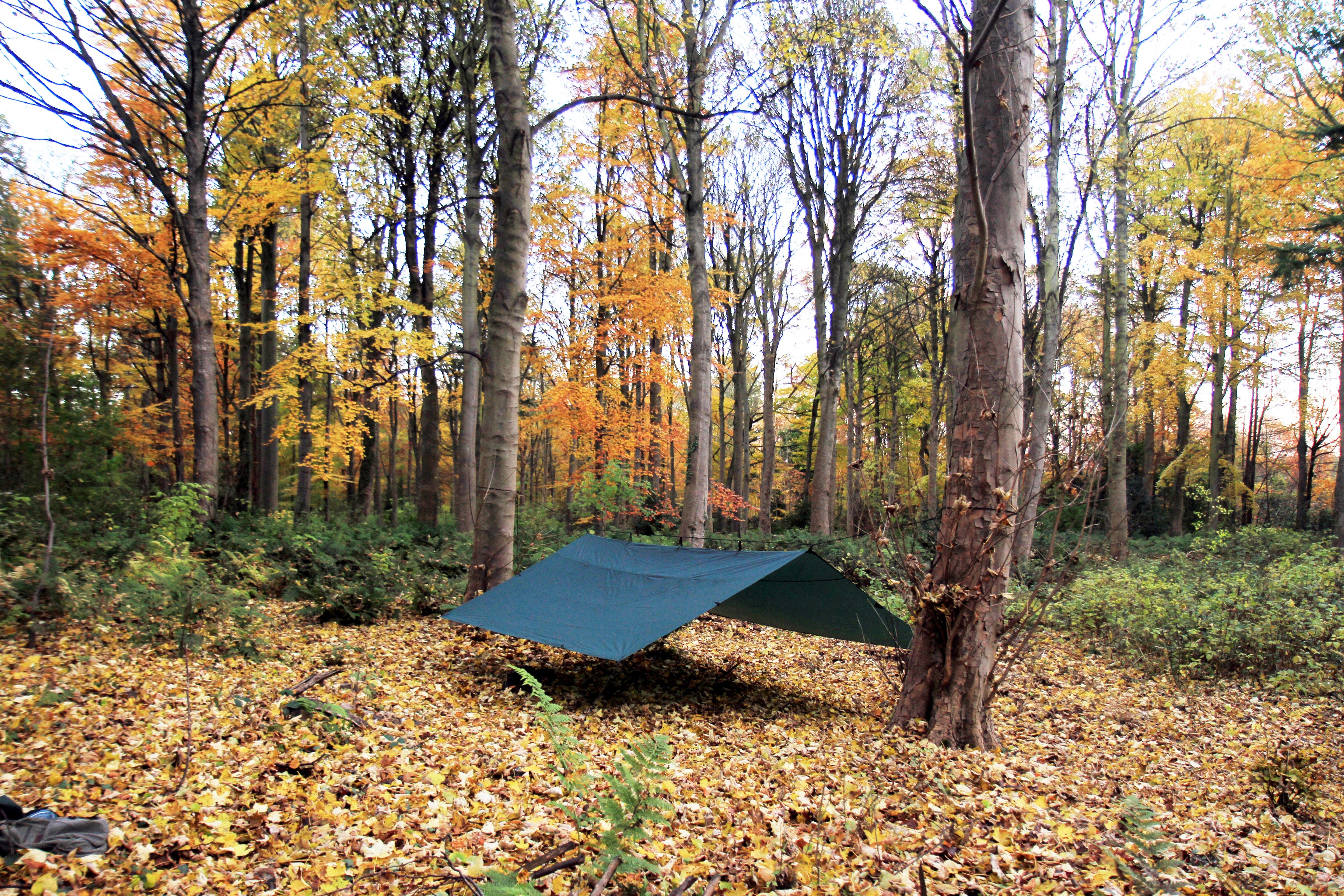 tarp camouflage 4x4 DD Tarp 4x4 Coyote Brown