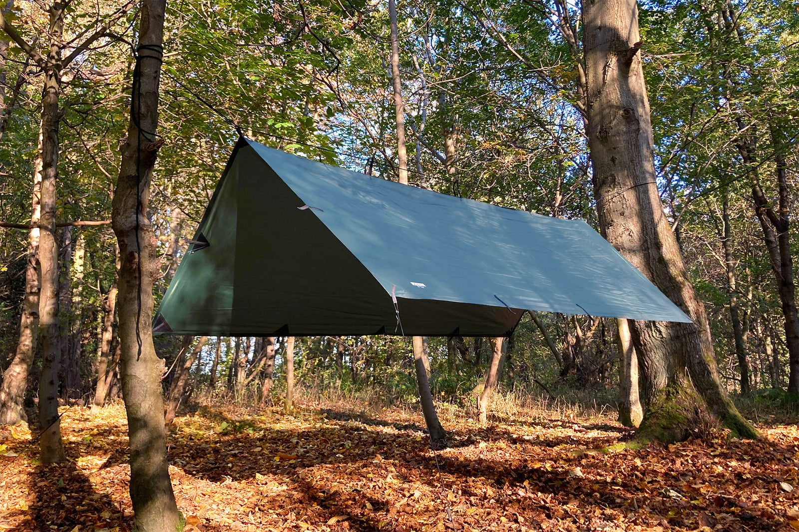 DD Tarp M