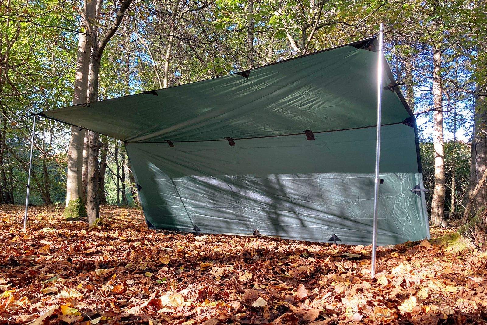 DD Tarp M