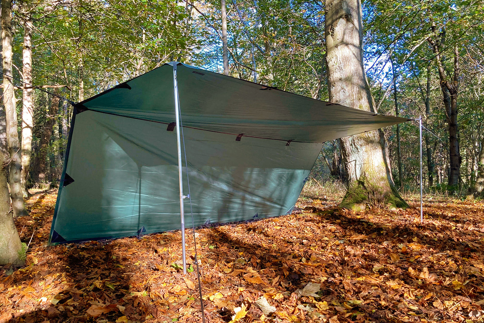DD Tarp M