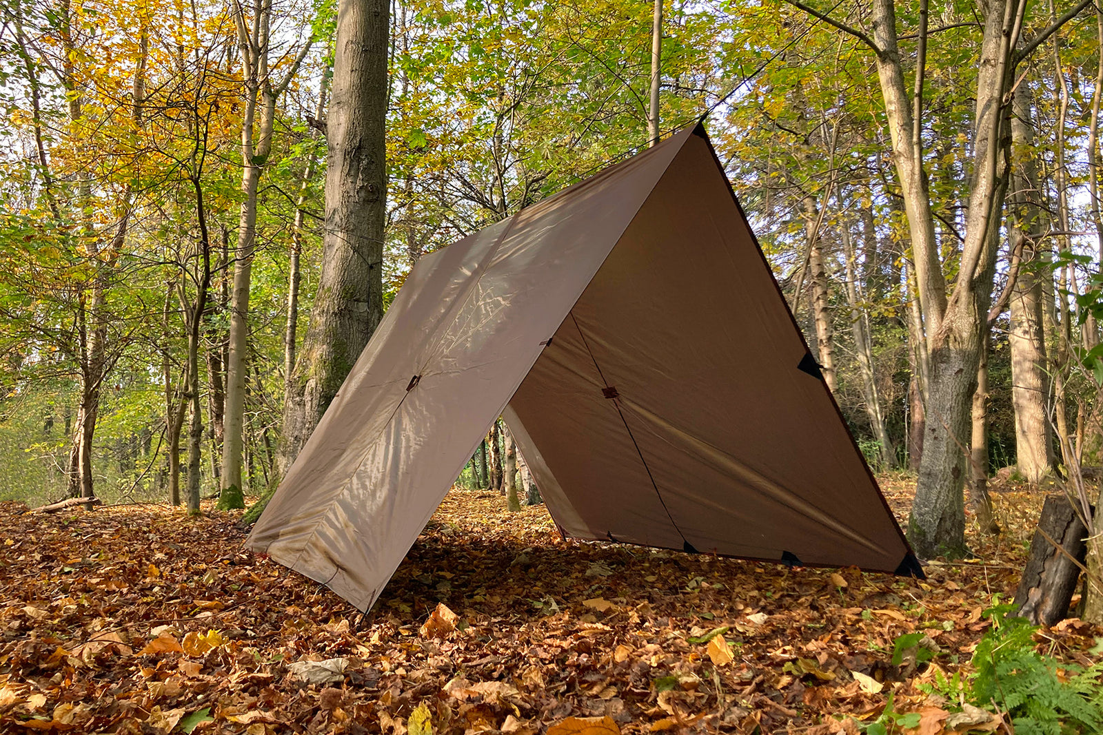 DD Tarp XL