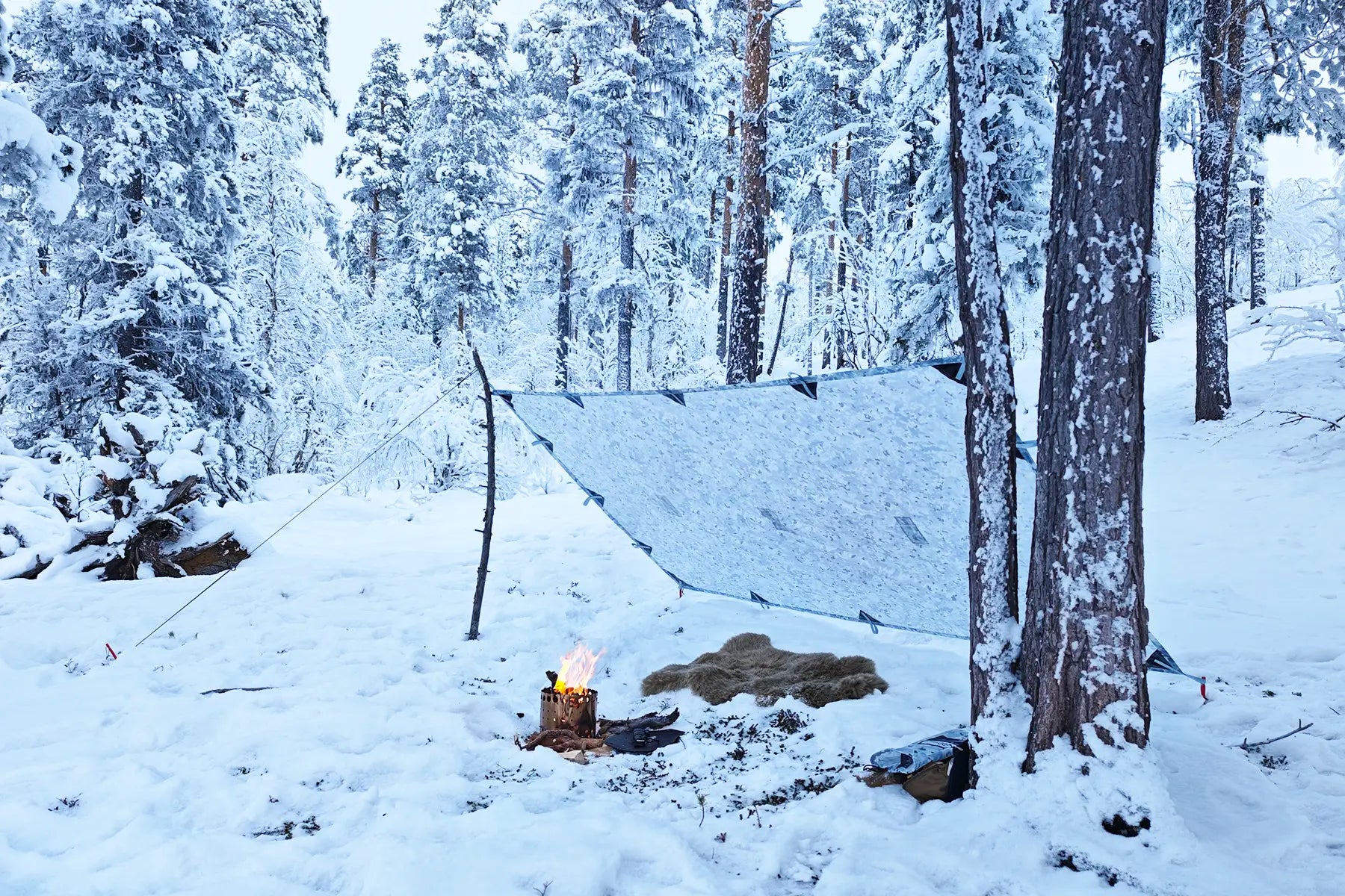 DD Tarp S - Winter MC