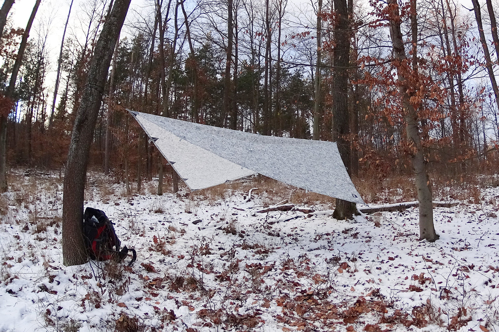 DD Tarp 3x3 - Winter MC