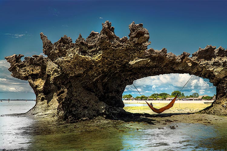 DD Chill Out Hammock